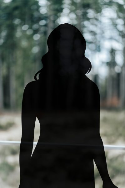 Lynn Niessen